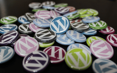 Looking For A WordPress Developer In Baltimore, MD?
