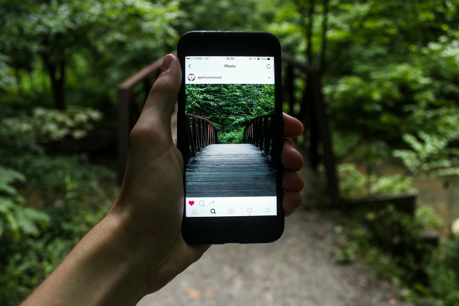 A hand holds a smartphone capturing a forest bridge in a natural setting. social media audit