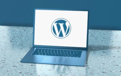 WordPress Developer: The Role They Play in Building a Future-Proof Website