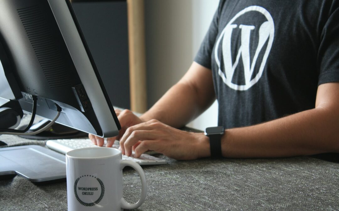 WordPress SEO Company: What to Look for When Growing Your Site this New Year