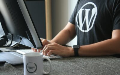 WordPress SEO Company: What to Look for When Growing Your Site this New Year