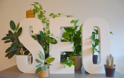 How to Increase SEO on WordPress (No Magic Wands Required)